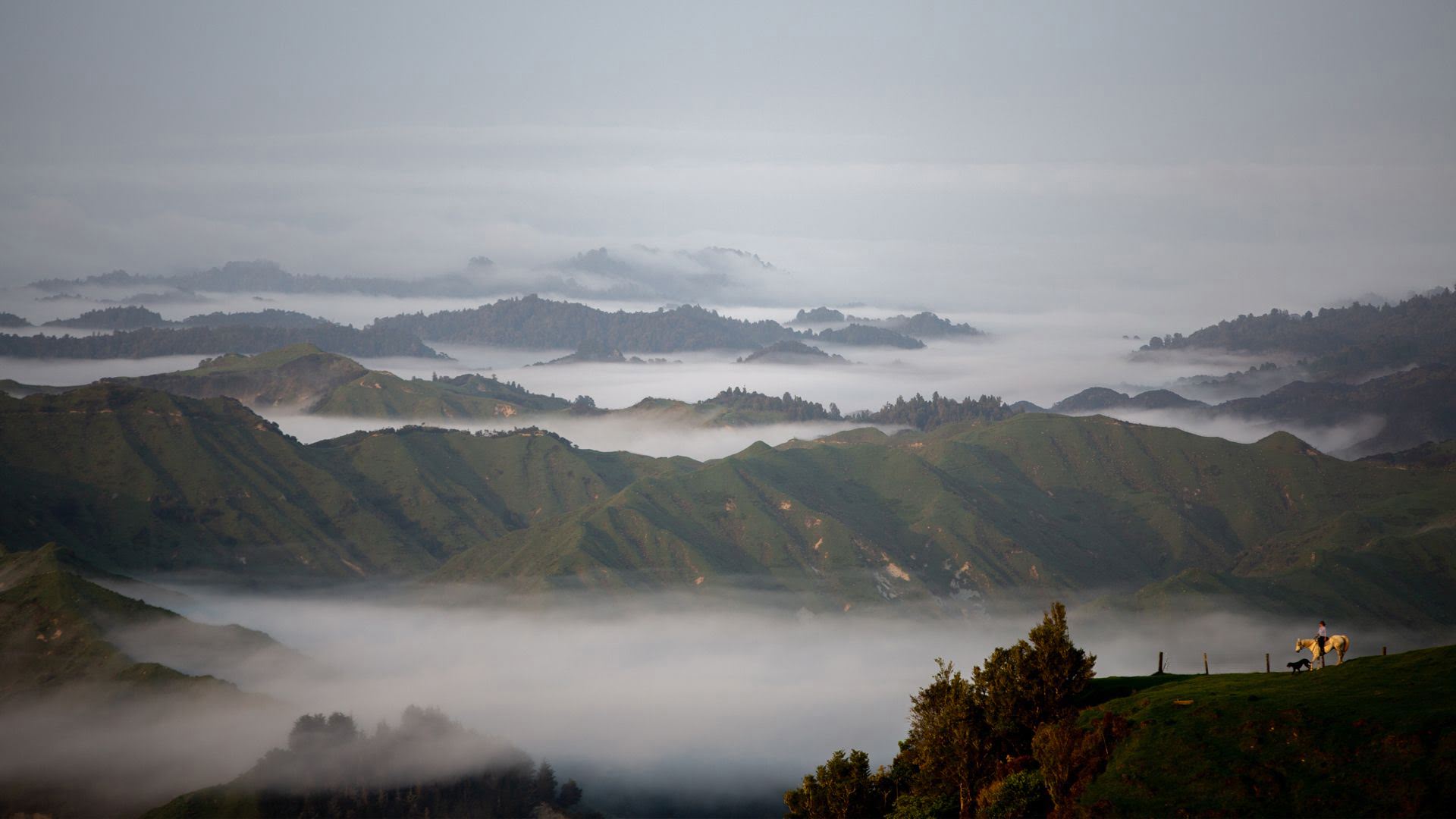 View from the top of the world, Blue Duck Station - Visit Ruapehu.jpg